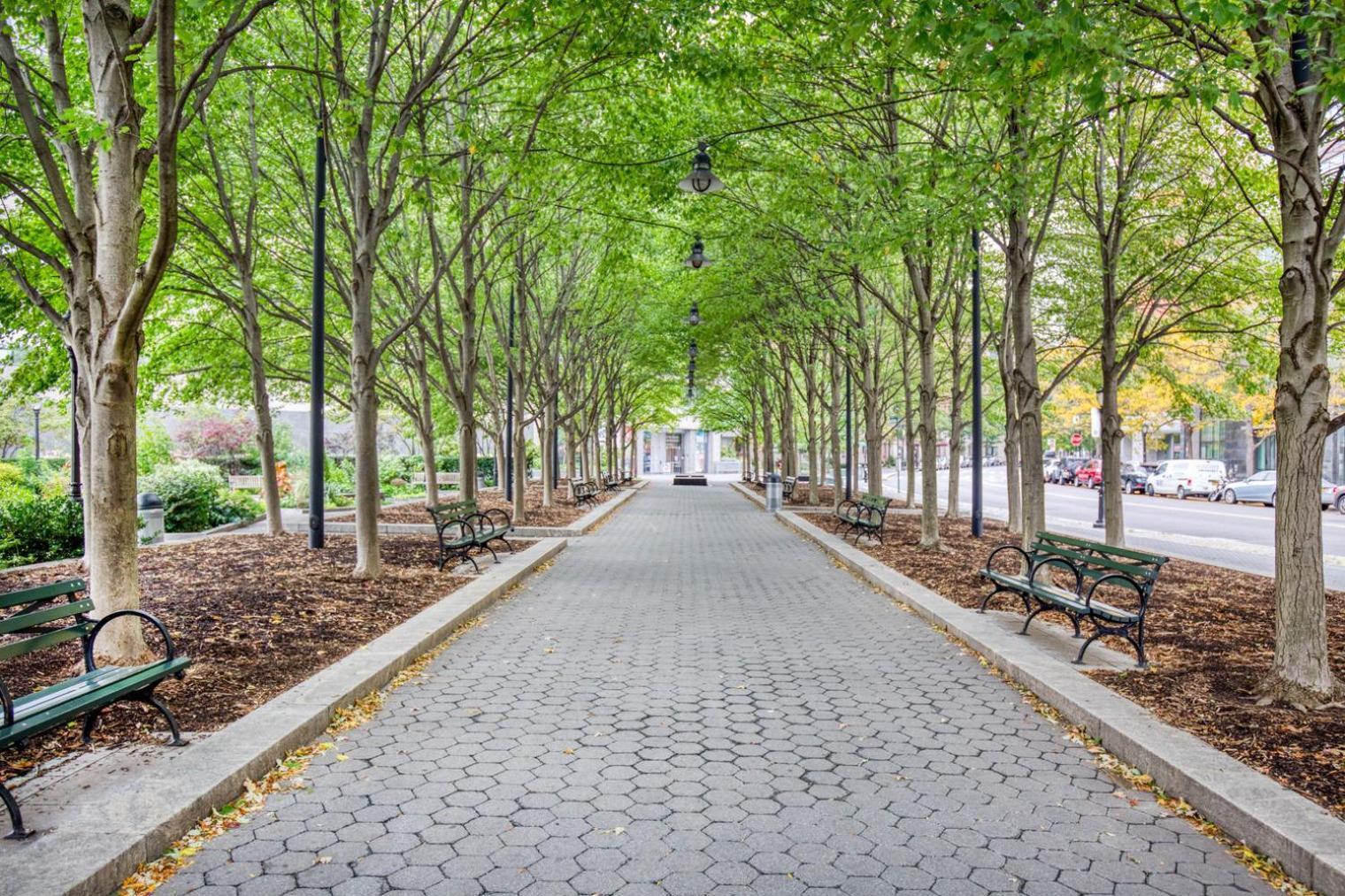 Apartment Fidi 1br W Elevator Doorman Gym Nr St Nyc-619 New York